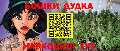 скорость Бердск