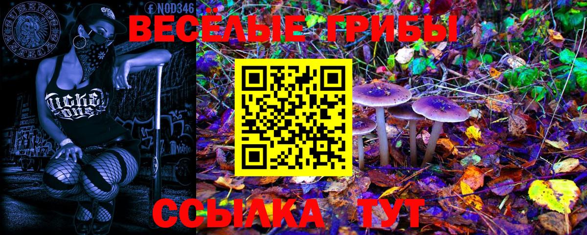 Дербент  Галлюциногенные грибы GOLDEN TEACHER  Псилоцибиновые грибы прущие грибы  Вход с VPN 